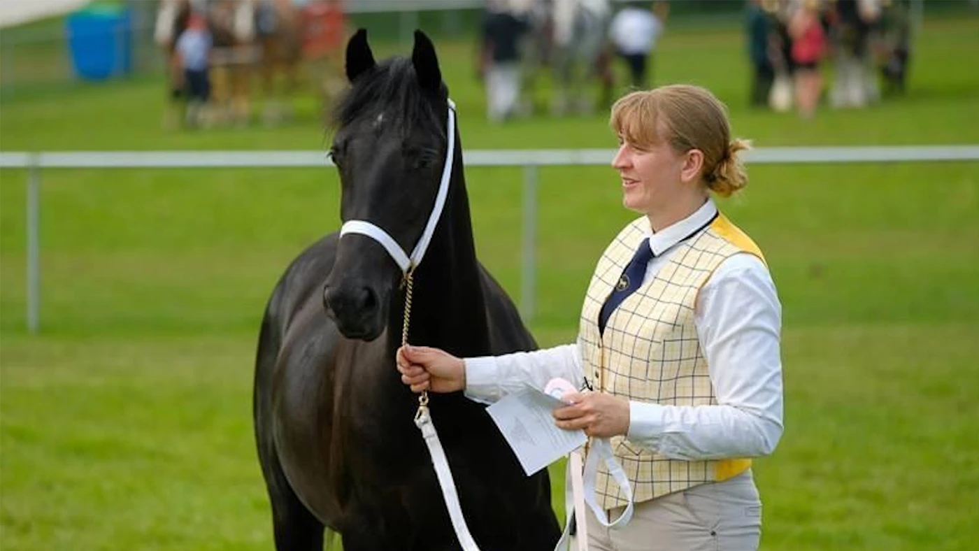 From Stable to the Show Ring