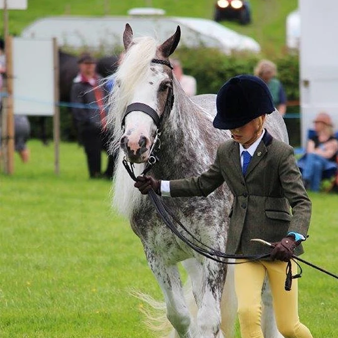 From Stable to the Show Ring - 03